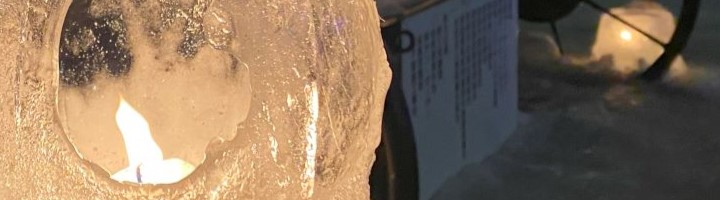 IMG_2179 - コピー