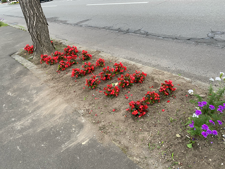 IMG_7221 - コピー