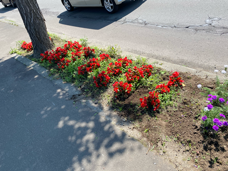 IMG_7222 - コピー