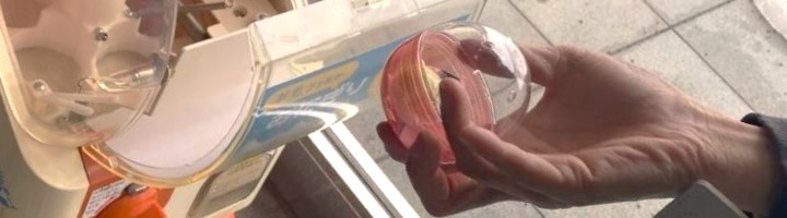 IMG_5849 - コピー